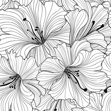 Fototapeta Floral seamless pattern. Flower background. Floral vector texture