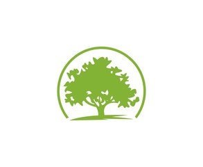 Tree logo - 159141823