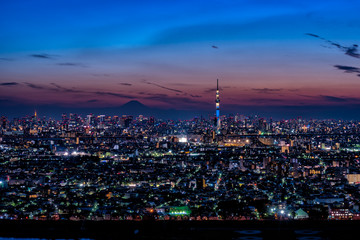 Naklejka premium Sky Tree i nocny widok na centrum Tokio