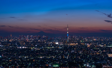 Obraz premium スカイツリーと東京都心の夜景