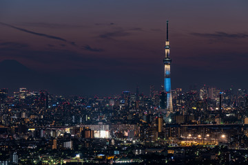 Fototapeta na wymiar スカイツリーと東京都心の夜景