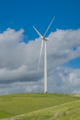Fototapeta premium A single wind turbine on a hillside, against the backdrop of cloud-filled blue sky in the Livermore, California wind farm