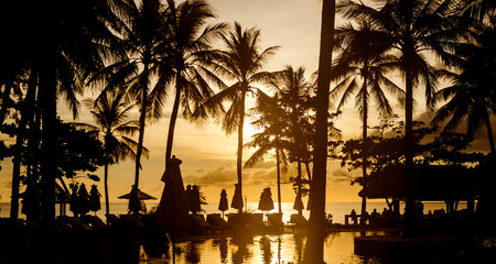 silhouette pool sunset with coconut tree