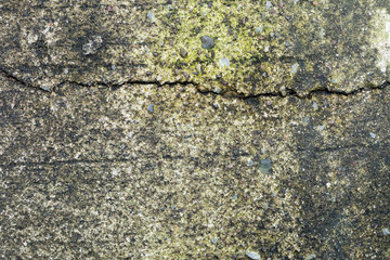 Wall with green stains
