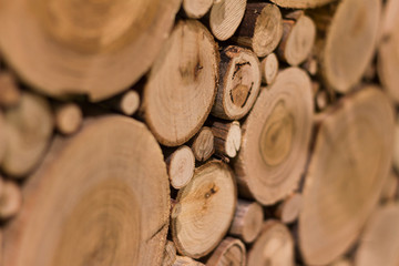 Wood background