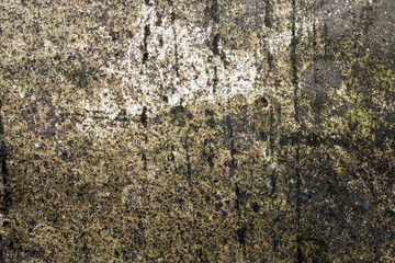 Wall with green stains