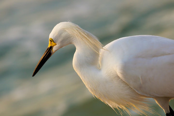 Marco Island Beach Sunset