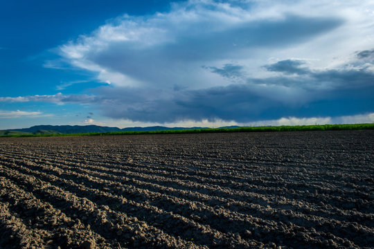 Corrugated Field Under Idaho Sky