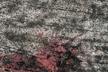 Stain on old cement texture