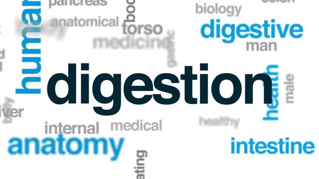 Digestion animated word cloud, text design animation.