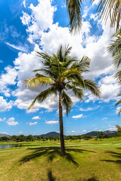 white clouds in blue sky above the golf field