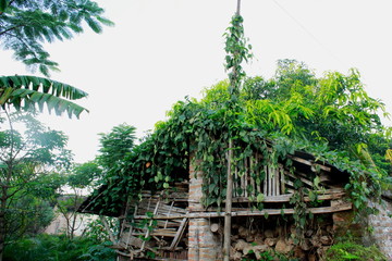 Garden building storage