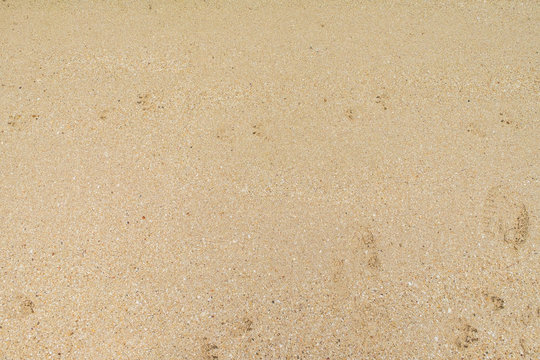 wet sand at sea beach texture background.