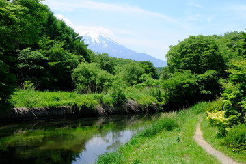 Landscape of the green forest, river, walking trail, Mount Fuji, and blue sky, Oshino, Yamanashi, Japan