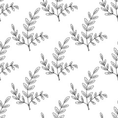 Indian Frankincense Salai or Boswellia serrata vintage illustration.Olibanum-tree (Boswellia sacra), aromatic tree. Ink hand drawn herbal illustration. Seamless pattern. - obrazy, fototapety, plakaty
