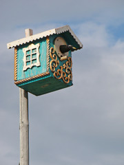 The starling looks out of the birdhouse