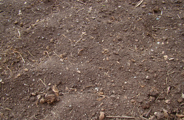 Brown soil texture......
