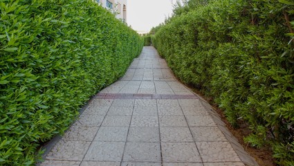 walkway