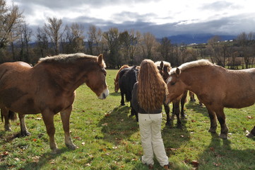 Susurrando caballos31