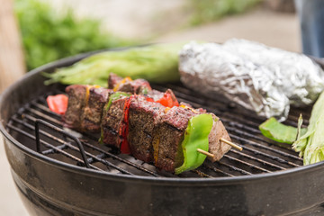 Beef and Vegetable Kabobs on Grill