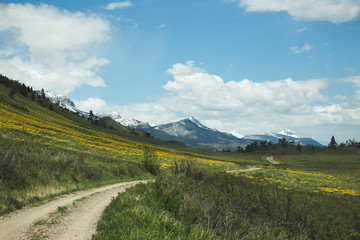 Remote Mountain Road