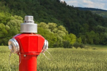 Red fire hydrant at the edge of a green field.
