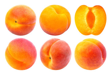 Apricot isolated. Collection of whole and cut apricots isolated on white background with clipping path