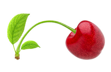 Cherry isolated. One red cherry with leaf isolated on white background with clipping path