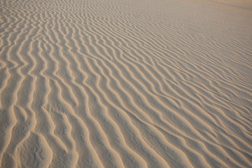 Ripples in the sand of a beach