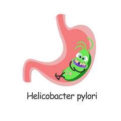 Helicobacter pylori. Harmful bacteria sitting in the stomach. Vector illustration.