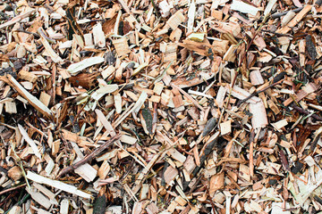 Texture of wooden sawdust close