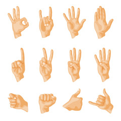 Obraz premium Hands deaf-mute different gestures human arm people communication message vector illustration.