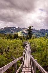 Holzsteg im Wald, Bergmassiv im Hintergrund