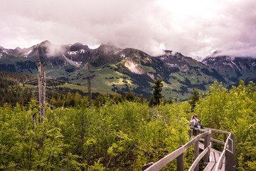 Fotograf im aufgeforsteten Naturschutzgebiet