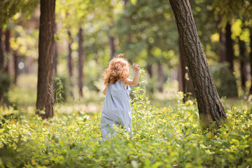 Little red-hair girl walk on sunny green lane in park. Foxy hair toddler run through high grass in...