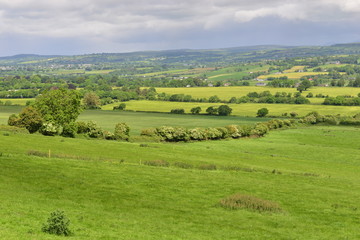 Fototapeta na wymiar The Irish countryside and farmland in June.