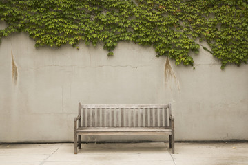 bench