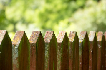 Red wood fence in garden. Beautiful backyard detail. Summer scene with green natural background.