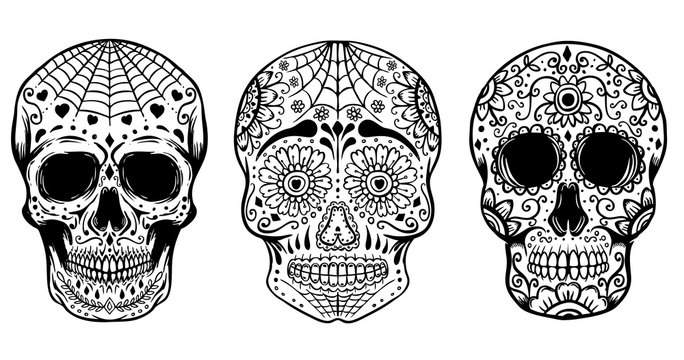 Set of hand drawn sugar skulls isolated on white background. Day of the dead. Dia de los Muertos. Design elements for poster, t-shirt. Vector illustration