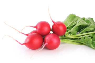  Radish isolated on white background.