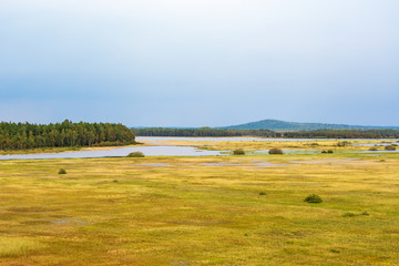Obraz premium View of a bog landscape with forest and lake in the wilderness