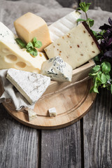 arrangement of gourmet cheeses