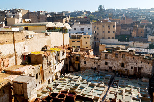  in morocco africa the antique tannery