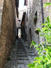 Spello (Umbria, Italy)