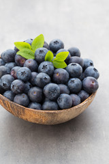 Fresh blueberries natural coconut in a bowl on a gray background.