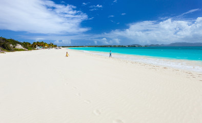 Obraz premium Caribbean beach