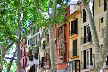 Passeig des Born © ksch966