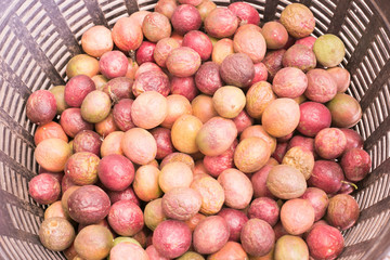 Close up of passion fruit, sour fruit.