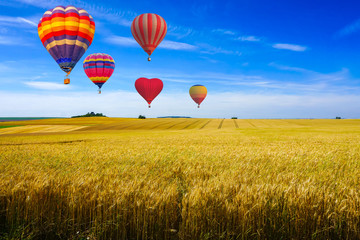 Colorful hot air balloons flying over reaped field and green hill view on a sunny day at sunset montagne de Reims, France