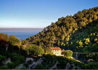 Mediterranean landscape